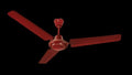 RR SIGNATURE RAPID super high speed 400rpm