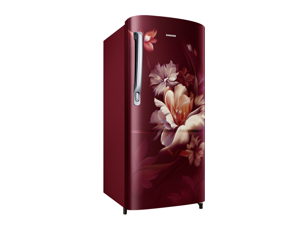 Samsung 5star RR20D2725RZ refrigerator
