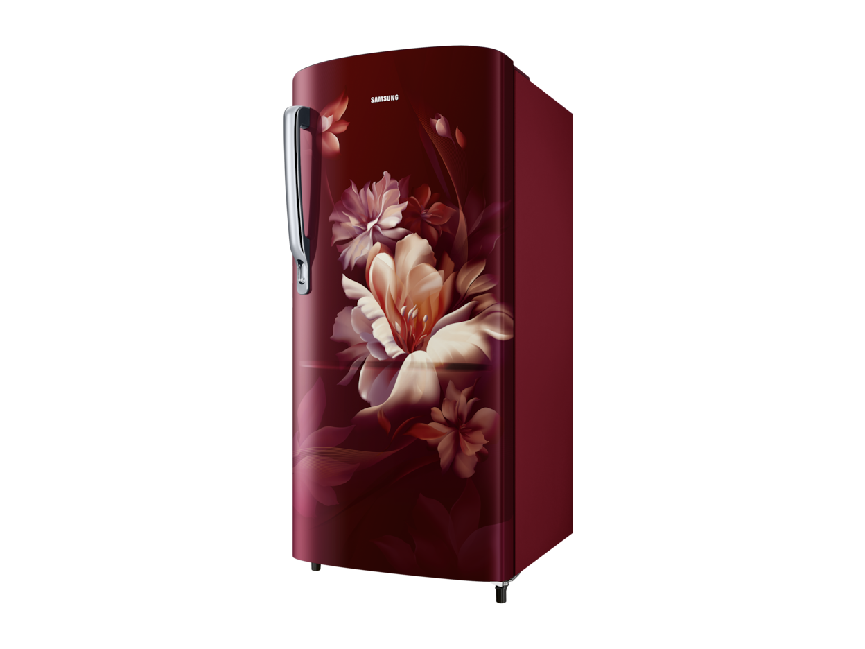 Samsung 5star RR20D2725RZ refrigerator
